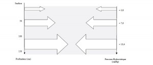 Figure 1. Schéma du gradient de pression subit par une personne en fonction de la profondeur