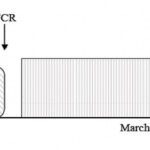 Figure 3. Chronologie du protocole expérimental