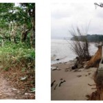 Illustration 2 le sentier emprunté autre fois par les esclaves pour embarquer et le cimetière de Loango