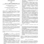 Illustration 5 La stèle de M’bé