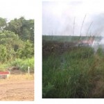 Illustration 5 La stèle de M’bé