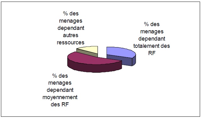 Figure 12 Etude de la contribution des ressources naturelles aux budgets des ménages ruraux  Cas du village BANGA (République Centrafricaine)