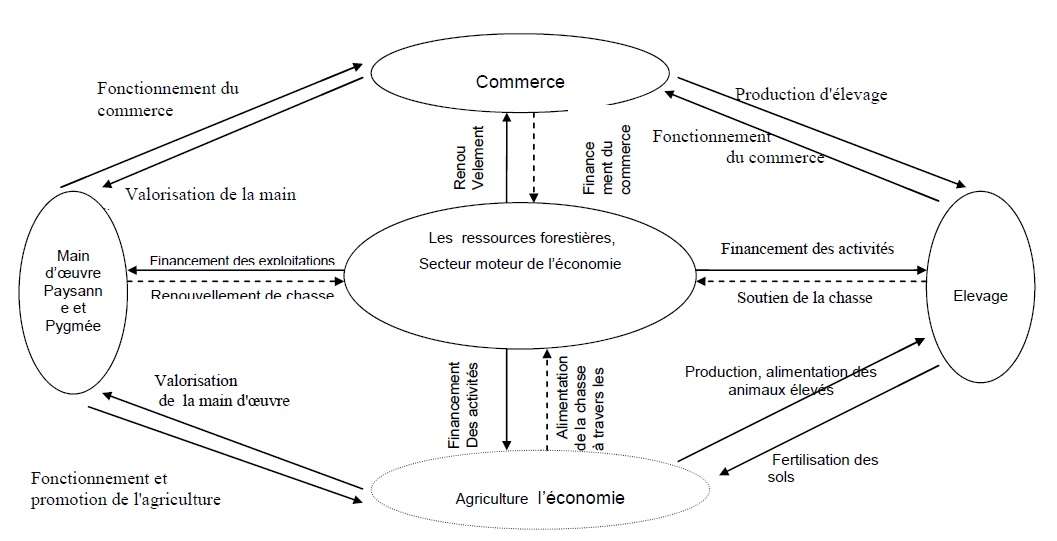 Figure 9 Etude de la contribution des ressources naturelles aux budgets des ménages ruraux  Cas du village BANGA (République Centrafricaine)