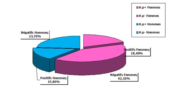 Figure 18 Helicobacter pylori Etude bactériologique des premières souches isolées à l’Hôpital Bologhine Ibn Ziri Figure 18 Helicobacter pylori Etude bactériologique des premières souches isolées à l’Hôpital Bologhine Ibn Ziri