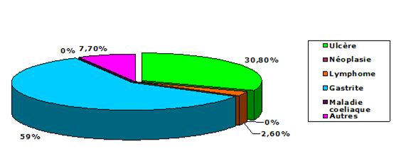 Figure 21 Helicobacter pylori Etude bactériologique des premières souches isolées à l’Hôpital Bologhine Ibn Ziri Figure 21 Helicobacter pylori Etude bactériologique des premières souches isolées à l’Hôpital Bologhine Ibn Ziri