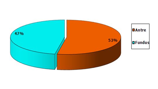 Figure 24 Helicobacter pylori Etude bactériologique des premières souches isolées à l’Hôpital Bologhine Ibn Ziri Figure 24 Helicobacter pylori Etude bactériologique des premières souches isolées à l’Hôpital Bologhine Ibn Ziri