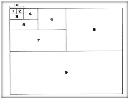 Figure 4 Contribution à l’étude de la biodiversité végétale du Parc National de Théniet El Had Cas du canton Pépinière Figure 4 Contribution à l’étude de la biodiversité végétale du Parc National de Théniet El Had Cas du canton Pépinière