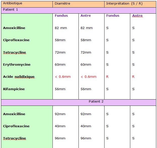 Tableau 13 Helicobacter pylori Etude bactériologique des premières souches isolées à l’Hôpital Bologhine Ibn Ziri Tableau 13 Helicobacter pylori Etude bactériologique des premières souches isolées à l’Hôpital Bologhine Ibn Ziri