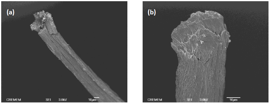 (a) fibre SWA (b) fibre Hipco (a) fibre SWA (b) fibre Hipco