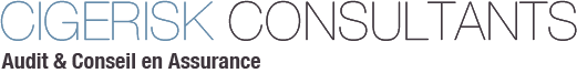 CIGERISK-CONSULTANTS-LYON CIGERISK-CONSULTANTS-LYON