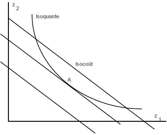 courbe d'isocoût courbe d'isocoût
