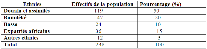 Effectifs et pourcentage des ethnies représentées à Youpwe
