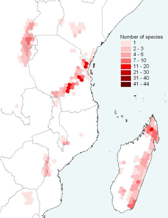 Répartition des espèces d'amphibiens menacées à Madagascar