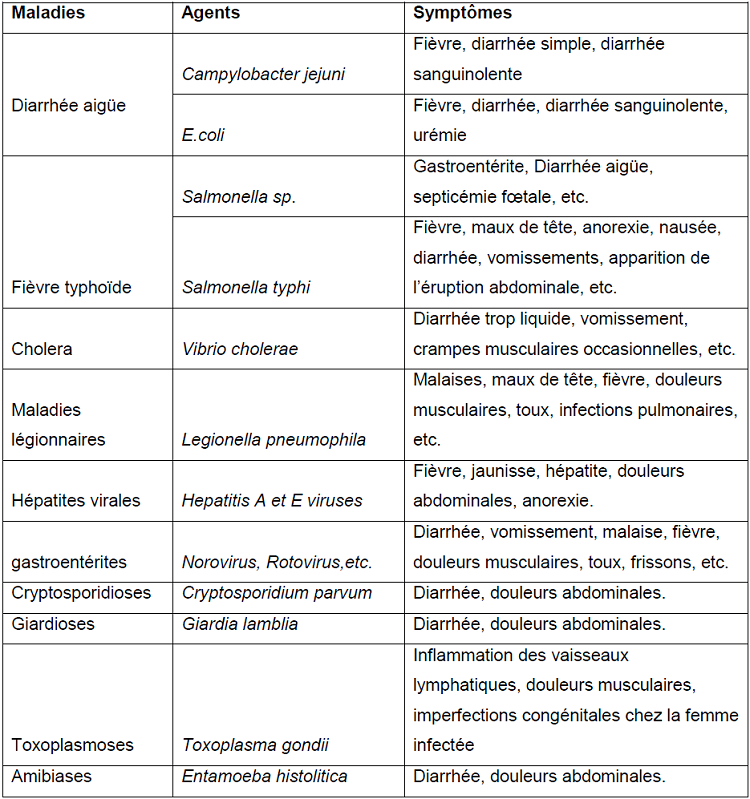 Composition microbiologique des DM, les maladies et les symptômes associés