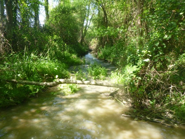 Lit de l’Henx (Avril 2013) Lit de l’Henx (Avril 2013)