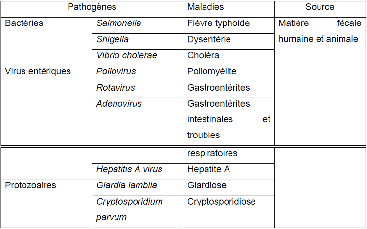 Pathogènes des DM et les maladies qu‟ils causent