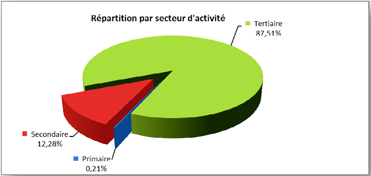 Répartition des entreprises de Douala par secteur d’activité