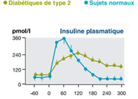 Sécrétion de l’insuline chez des sujets normaux et des sujets diabétiques type 2 après charge en glucose [Brindisi et al., 2007]