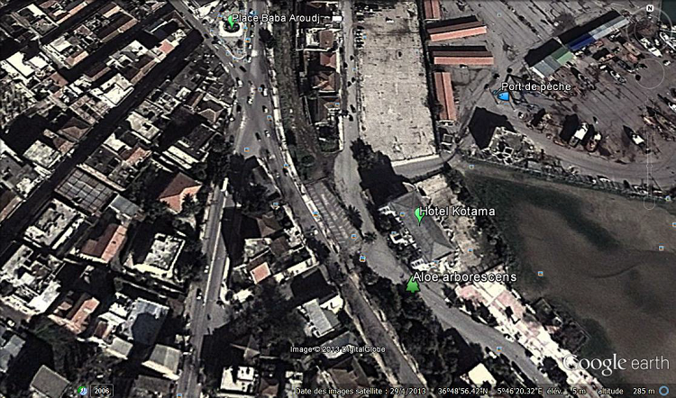 Photographie satellite (Google earth) d’emplacement du site d’échantillonage d’Aloe arborescens dans la wilaya de Jijel Photographie satellite (Google earth) d’emplacement du site d’échantillonage d’Aloe arborescens dans la wilaya de Jijel