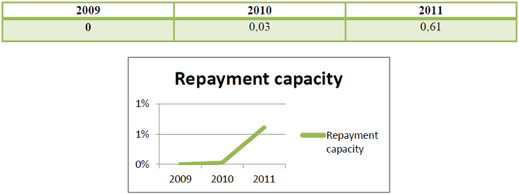 Repayment capacity